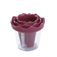⏳🏆LAST DAY SALE: ￡7.99!!💥Manual Vegetable Spiralizer and Curler for Rose Flower Carving