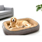 📢🐾 LIMITED-TIME 52% OFF! ☁️ All‑Season Ergonomic Comfort Pet Bed – Snug, Breathable, Cozy ✨